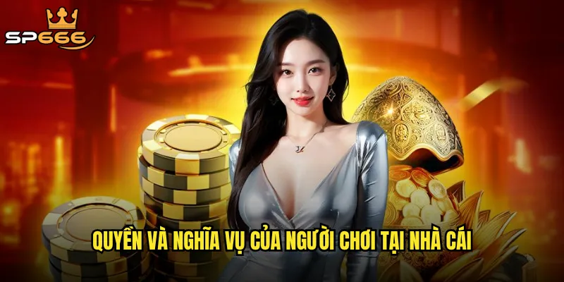 Điều khoản điều kiện Sp666 có thực sự minh bạch và công bằng? 1 Quyền và nghĩa vụ của người chơi tại nhà cái